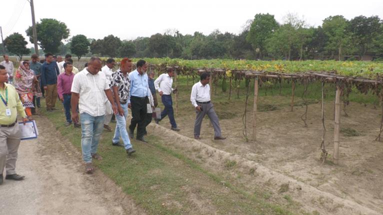 নতুন জাত উদ্ভাবন, বাজারজাতে নিশ্চয়তা চান কৃষকরা