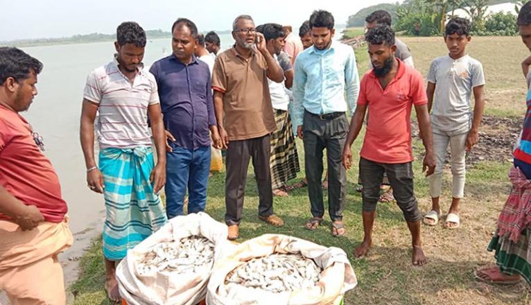 জাটকা আহরণ-পরিবহনের দায়ে মুলাদীতে ১০ জনকে জরিমানা