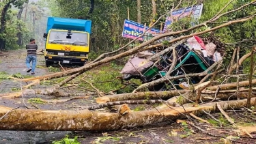 কালবৈশাখী ঝড়ে লন্ডভন্ড পিরোজপুর, গাছচাপায় নিহত ১