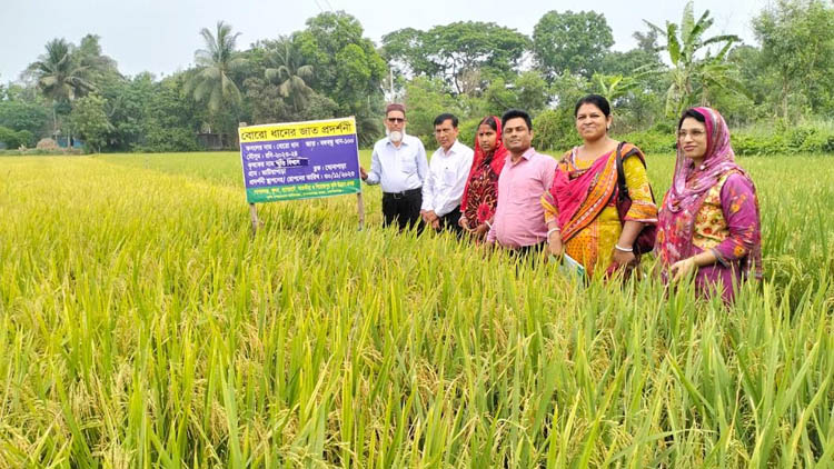 তাপদাহ: কৃষকদের পাশে গোপালগঞ্জ সদর উপজেলা কৃষি অফিস