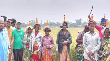 নাটোরে নৃ-জনগোষ্ঠীর নারী শ্রমিকের মাঝে পানীয় ও খাদ্য বিতরণ