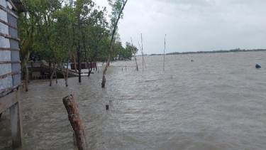 ঘূর্ণিঝড় রেমালের তান্ডবে প্রাণ গেল ৭ জনের