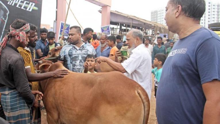 জমে উঠেছে রাজধানীর পশুর হাট