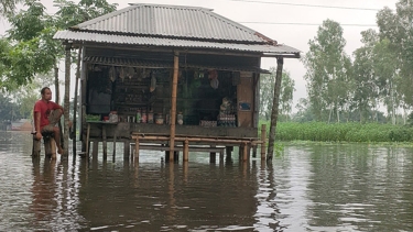 তিস্তা ব্যারাজে পানি বৃদ্ধি : লালমনিরহাটের নিম্মাঞ্চলে বন্যার আশঙ্কা