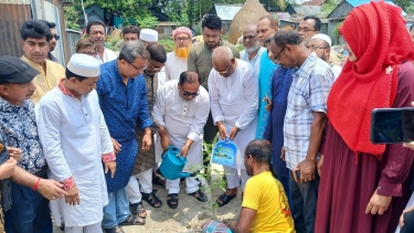 ব্রাহ্মণবাড়িয়ায় জেলা আওয়ামী লীগের বৃক্ষরোপণ