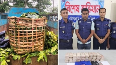 কুমিল্লায় পানের ঝুড়িতে ইয়াবা পাচার, আটক ১