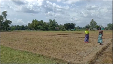 সরিষাবাড়ীতে জমি সংক্রান্ত বিরোধের জের ধরে ফসলি জমি চাষাবাদে বাঁধা ও হুমকি